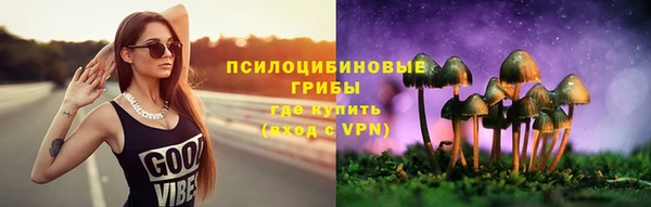 мескалин Михайлов