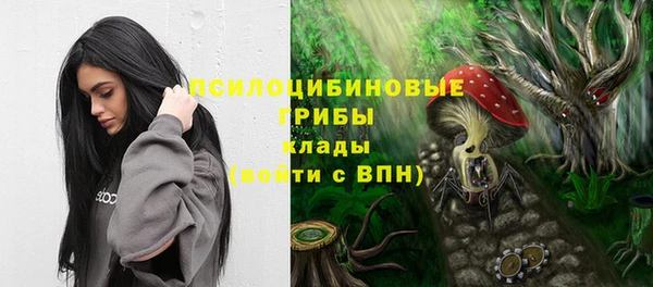 мескалин Михайлов