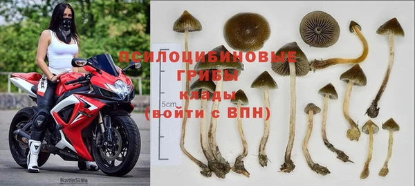 мескалин Михайлов