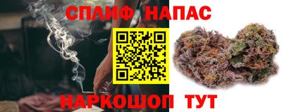 твердый Бийск