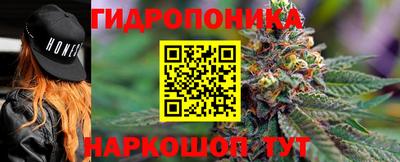 твердый Бийск