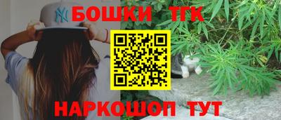 дживик Бийск