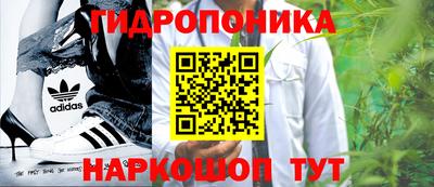 твердый Бийск